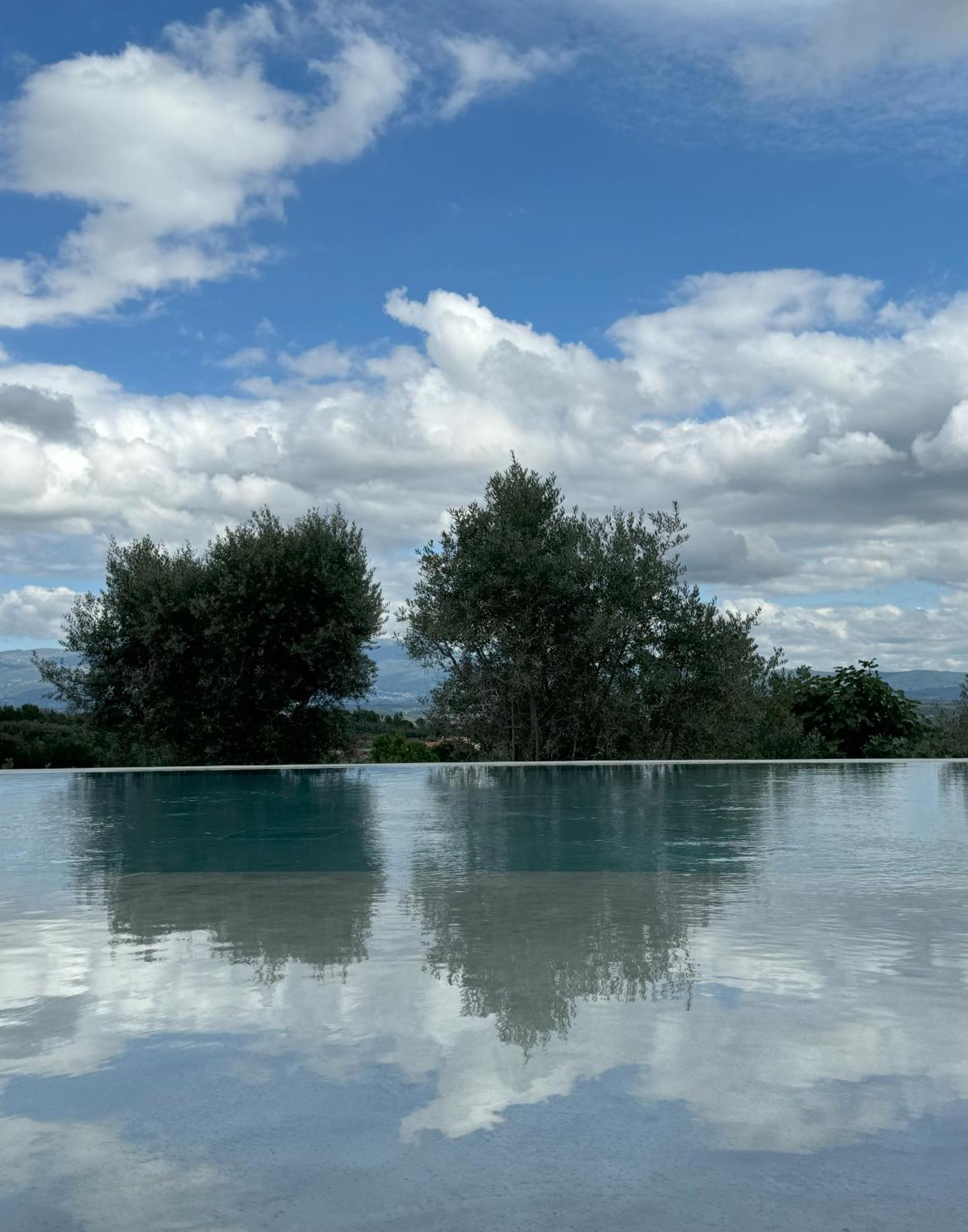 Puro Dao Hotel & Spa Nelas Exteriör bild